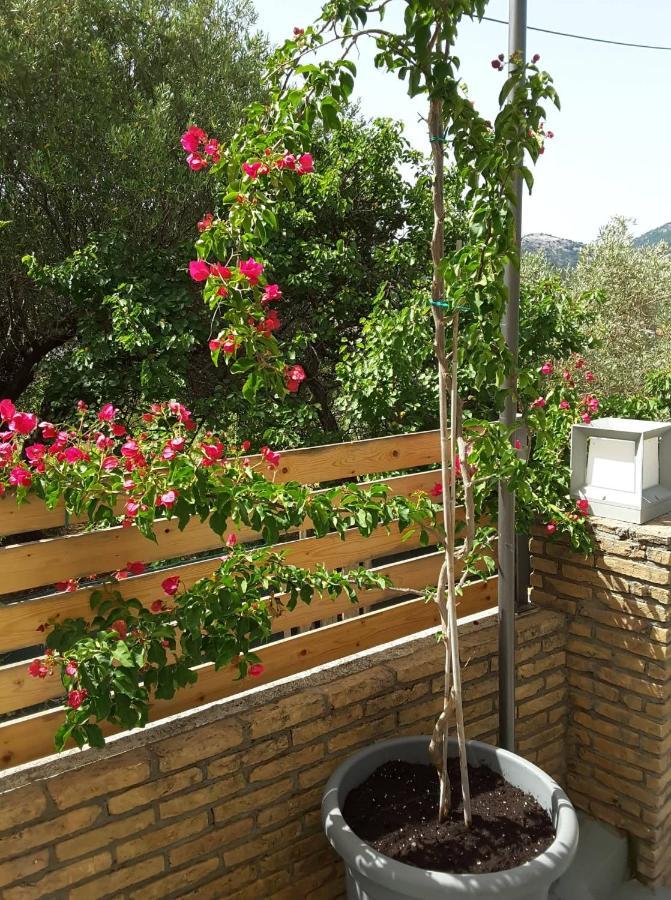 Stathi's Tatil Evi *