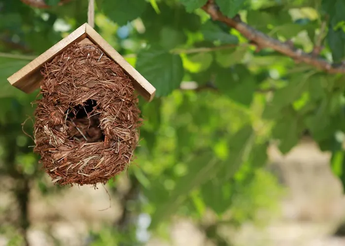 Stathi\'S Cottage