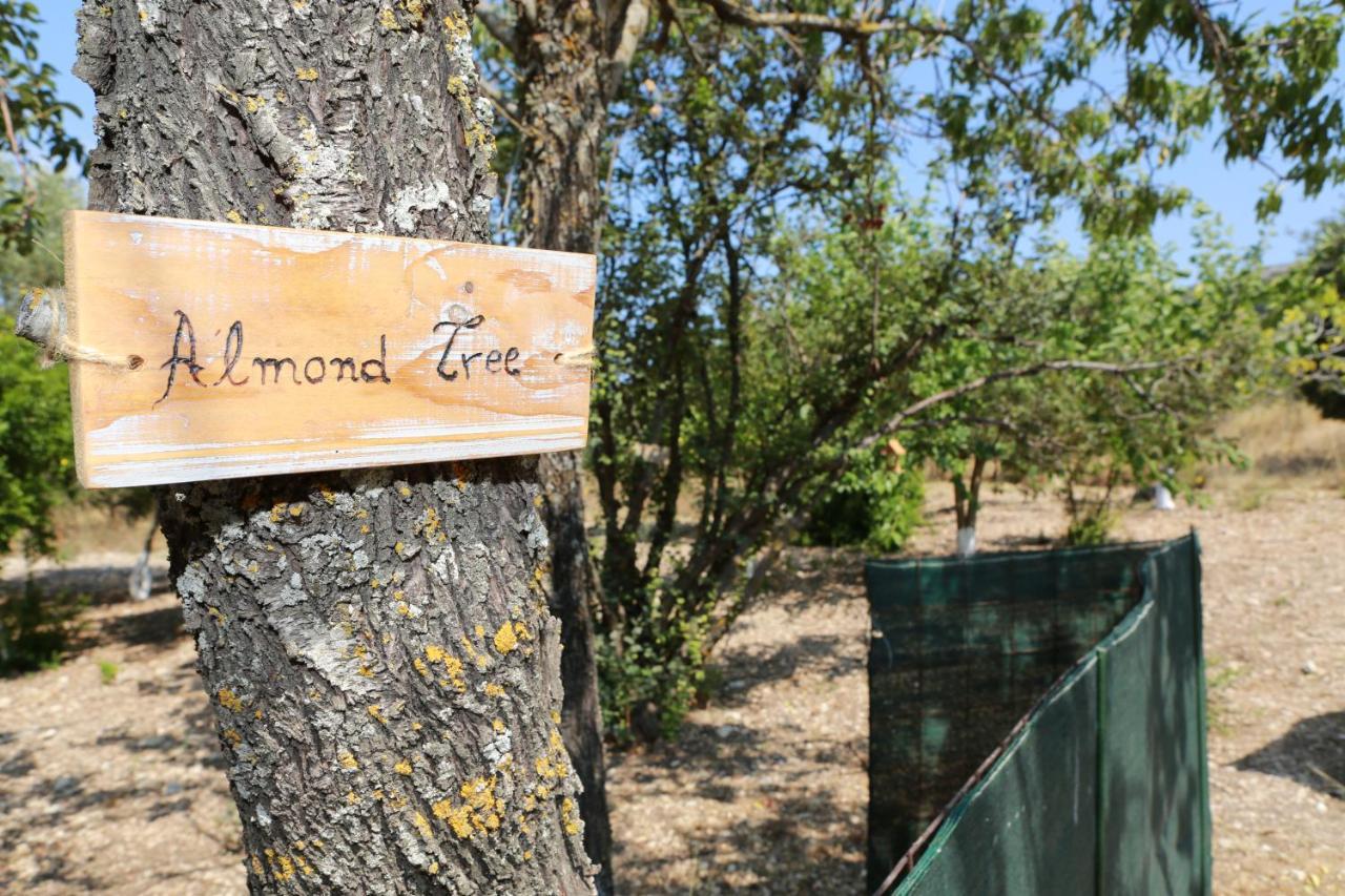 Stathi's Holiday home
